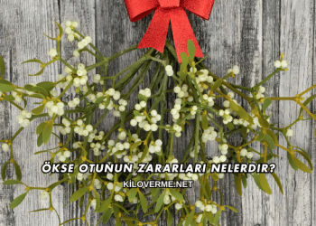 Ökse Otunun Zararları Nelerdir?