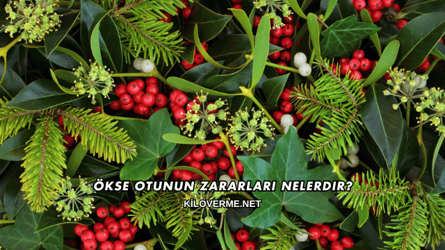 Ökse Otunun Zararları Nelerdir?