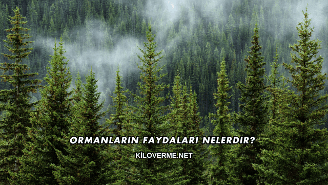 Ormanların Faydaları Nelerdir?