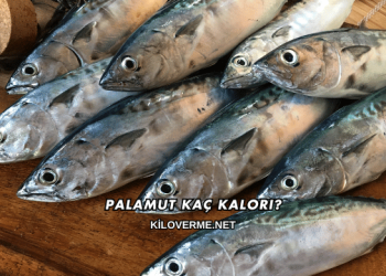 Palamut Kaç Kalori?