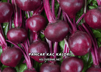 Pancar Kaç Kalori?