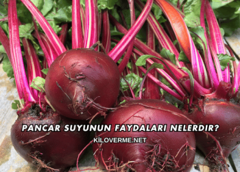 Pancar Suyunun Faydaları Nelerdir?