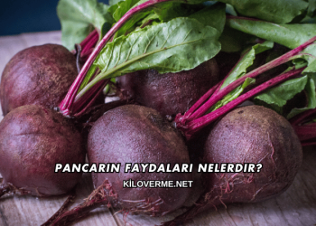 Pancarın Faydaları Nelerdir?