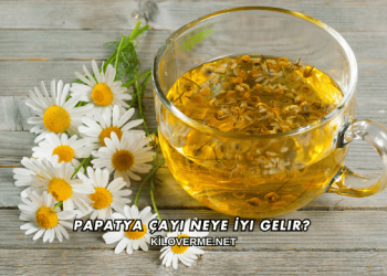 Papatya Çayı Neye İyi Gelir?