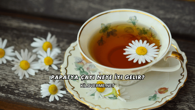 Papatya Çayı Neye İyi Gelir?