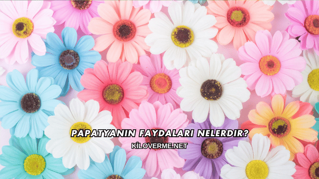 Papatyanın Faydaları Nelerdir?