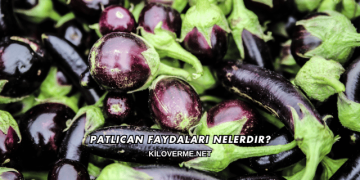 Patlıcan Faydaları Nelerdir?