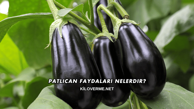 Patlıcan Faydaları Nelerdir?