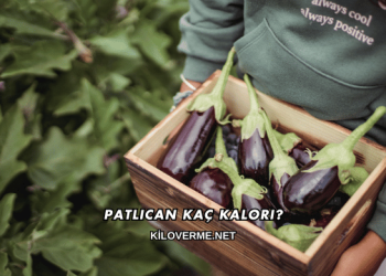 Patlıcan Kaç Kalori?