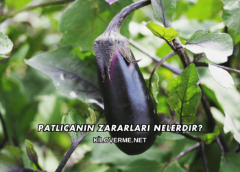 Patlıcanın Zararları Nelerdir?