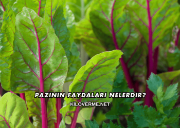 Pazının Faydaları Nelerdir?