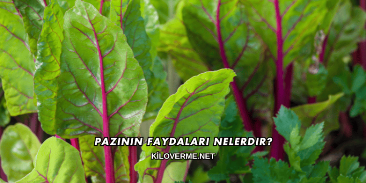 Pazının Faydaları Nelerdir?