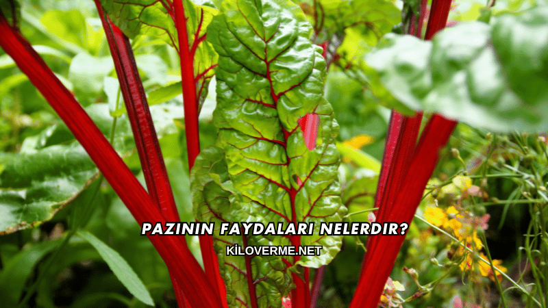 Pazının Faydaları Nelerdir?