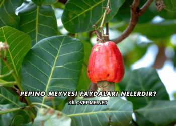Pepino Meyvesi Faydaları Nelerdir?