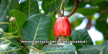 Pepino Meyvesi Faydaları Nelerdir?