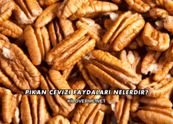 Pikan Cevizi Faydaları Nelerdir?