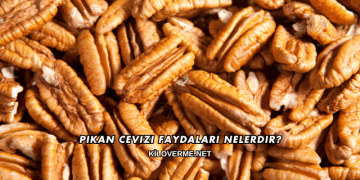 Pikan Cevizi Faydaları Nelerdir?