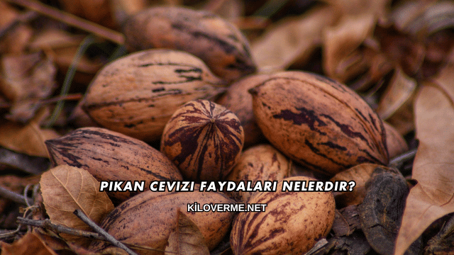 Pikan Cevizi Faydaları Nelerdir?