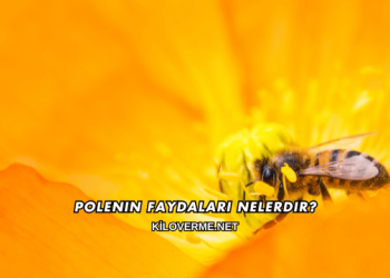 Polenin Faydaları Nelerdir?