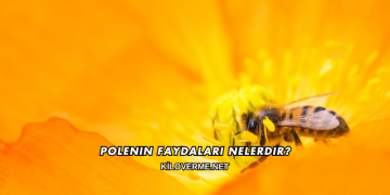 Polenin Faydaları Nelerdir?