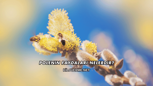 Polenin Faydaları Nelerdir?
