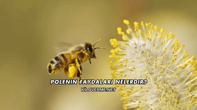 Polenin Faydaları Nelerdir?