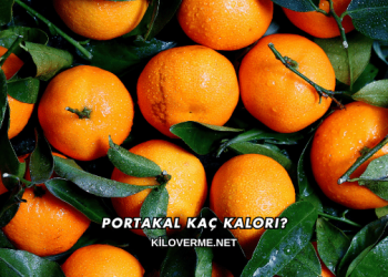 Portakal Kaç Kalori?