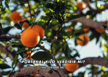 Portakal Kilo Verdirir mi?