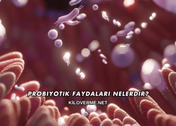Probiyotik Faydaları Nelerdir?