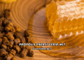 Propolis Enerji Verir mi?