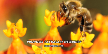 Propolis Faydaları Nelerdir?