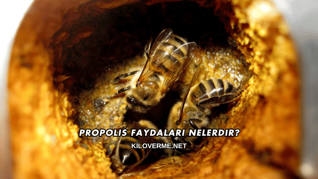 Propolis Faydaları Nelerdir?