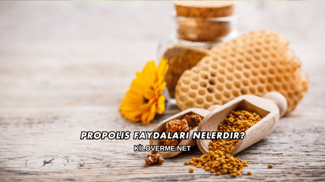 Propolis Faydaları Nelerdir?