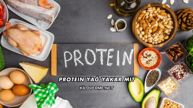 Protein Yağ Yakar mı?