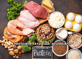Proteinin Faydaları Nelerdir?