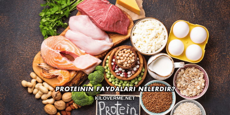 Proteinin Faydaları Nelerdir?