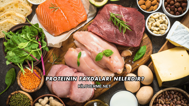Proteinin Faydaları Nelerdir?