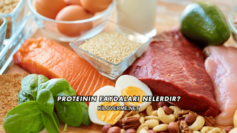 Proteinin Faydaları Nelerdir?