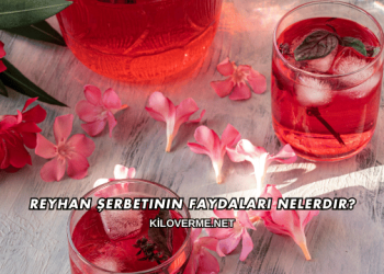 Reyhan Şerbetinin Faydaları Nelerdir?