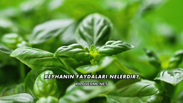 Reyhanın Faydaları Nelerdir?