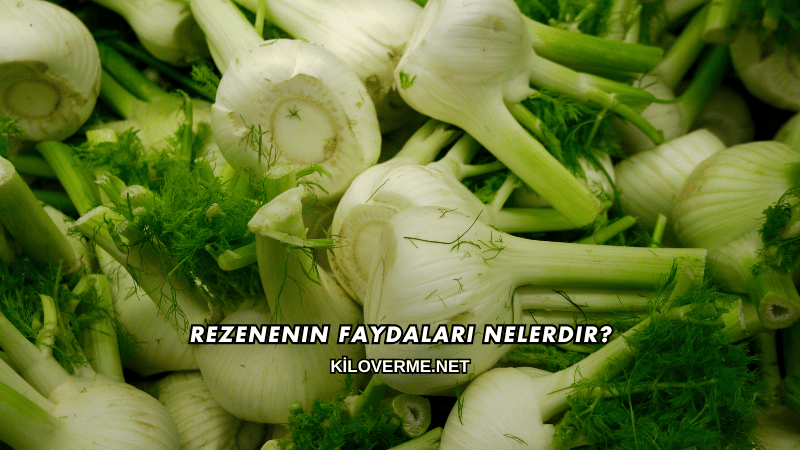Rezenenin Faydaları Nelerdir?