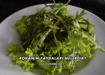 Rokanın Faydaları Nelerdir?