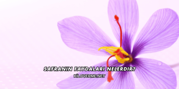 Safranın Faydaları Nelerdir?