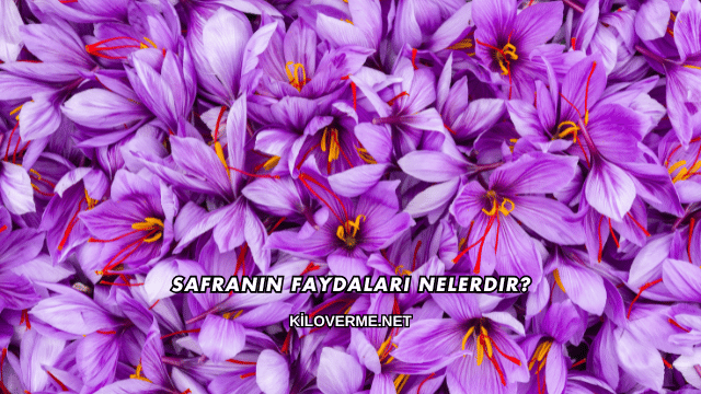 Safranın Faydaları Nelerdir?