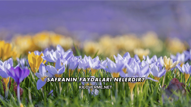 Safranın Faydaları Nelerdir?