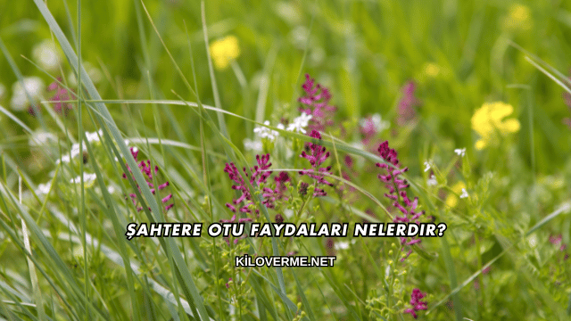 Şahtere Otu Faydaları Nelerdir?