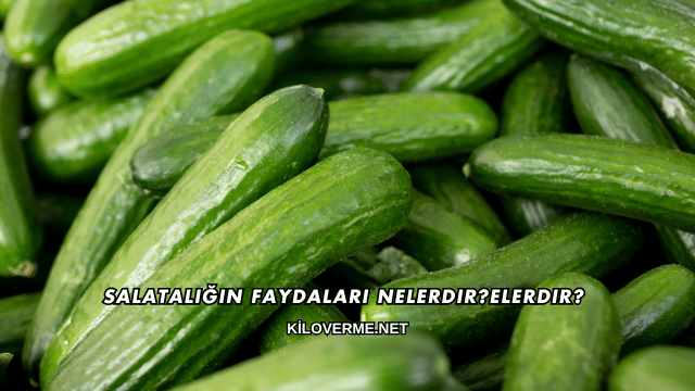 Salatalığın Faydaları Nelerdir?