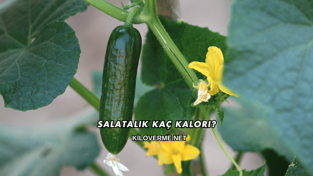 Salatalık Kaç Kalori?