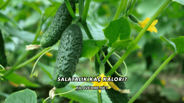 Salatalık Kaç Kalori?