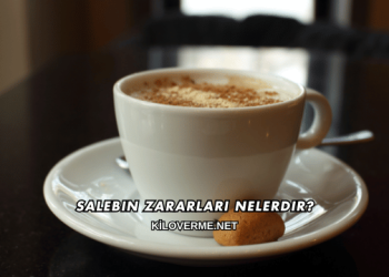 Salebin Zararları Nelerdir?